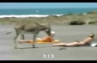 انه يستمني على الأرض. تحميل فلم سكس اجنبي
