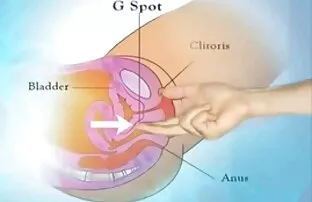 أكملت لمدة افلام سكس اجنبي تحميل مجاني سنتين.